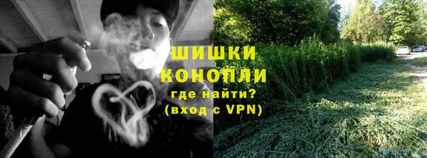 прущие грибы Арсеньев